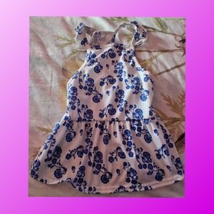 Floral Blue and White Dress For Pets